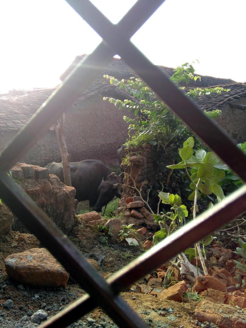 Friends In Khajuraho Apartamento Exterior foto